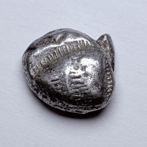 Paphlagonia sinope aquila - aquila, di