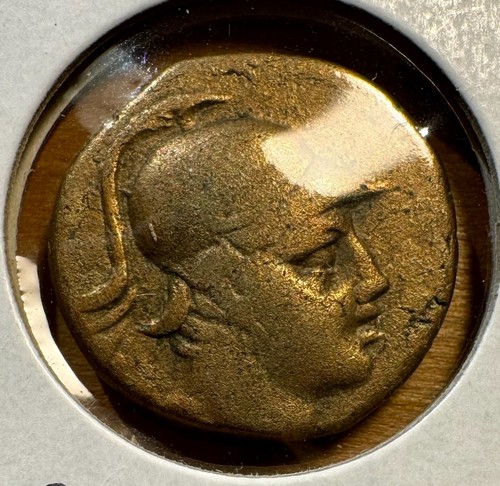 Sinope paphlagonia - ae, of