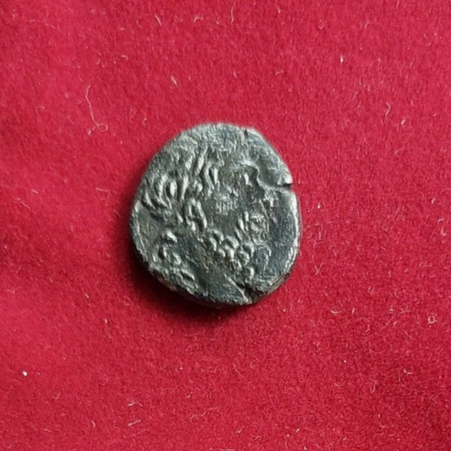 Paphlagonia sinope ae21 - paphlagonia,