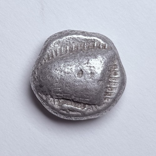 Paphlagonia sinope aquila - sinope, di