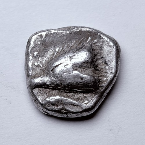 Paphlagonia sinope aquila - paphlagonia,