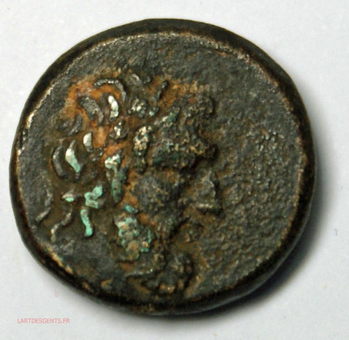 Paphlagonie sinope - (germ),