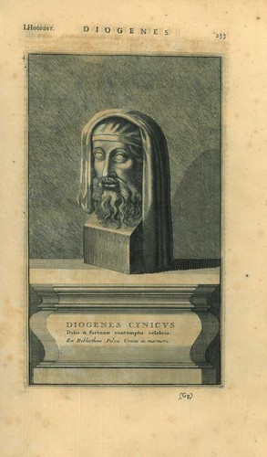 Ritratto diogene - ritratto,