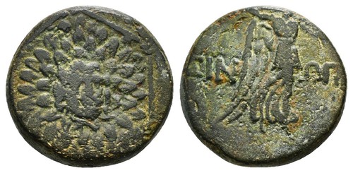 Paphlagonia sinope ae - sinope,