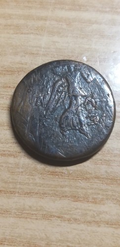 Paflagonia sinope 22 nike - ,