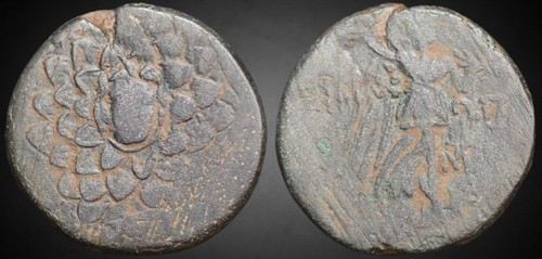 Paphlagonia sinope moneta - sinope.,