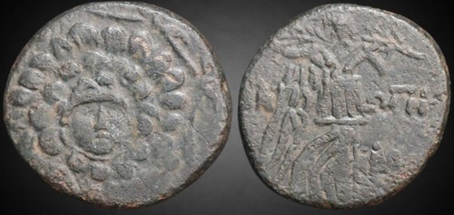 Paphlagonia sinope tempo - tempo, di