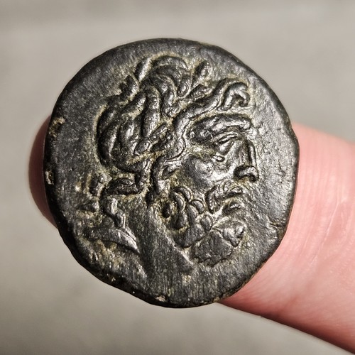 Sinope paflagonia zeus aquila - sinope,