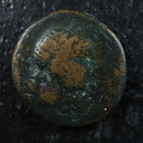 Sinope paphlagonia ae17 - sinope,
