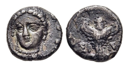 Paphlagonia sinope - paphlagonia.,