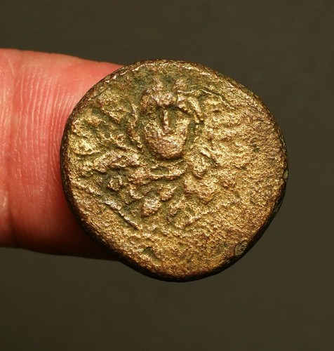 G35 sinope paphlagonia - g35-91,